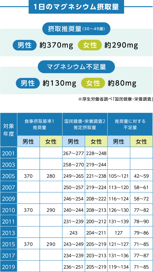 1日のマグネシウム摂取量