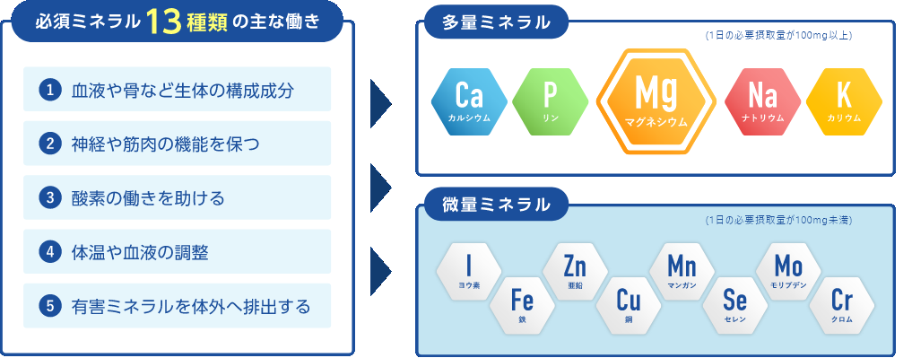 必須ミネラル13種類の主な動き